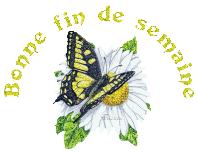 Bonne fin de semaine à tous !!
